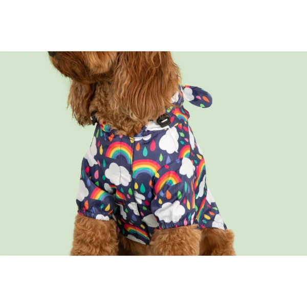 Big & Little Dogs 'Don't Rain on my Parade' Rainbow Print Waterproof Dog Raincoat
