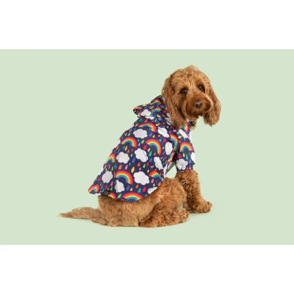 Big & Little Dogs 'Don't Rain on my Parade' Rainbow Print Waterproof Dog Raincoat