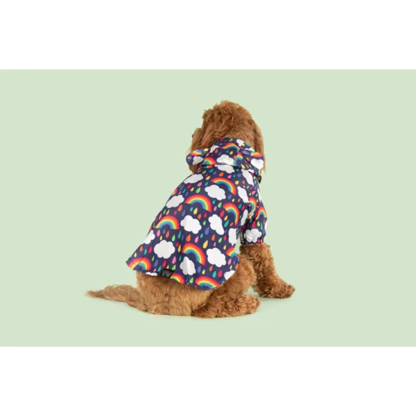 Big & Little Dogs 'Don't Rain on my Parade' Rainbow Print Waterproof Dog Raincoat