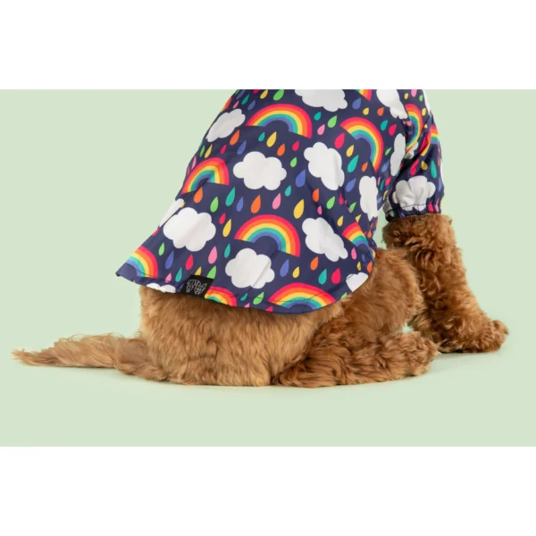 Big & Little Dogs 'Don't Rain on my Parade' Rainbow Print Waterproof Dog Raincoat