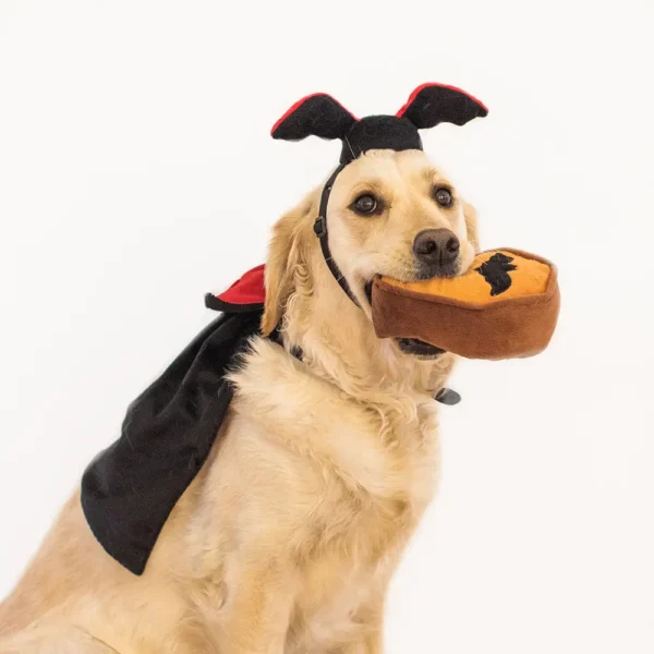ZippyPaws Dracula Halloween Dog Costume Kit