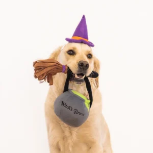 ZippyPaws Witch Halloween Dog Costume Kit