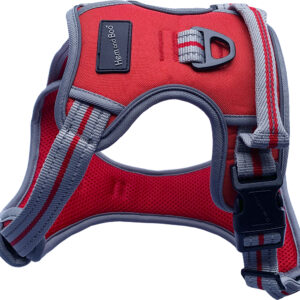 Red Hem & Boo Sports Adjustable Dog Harness | The Lancashire Dog Company