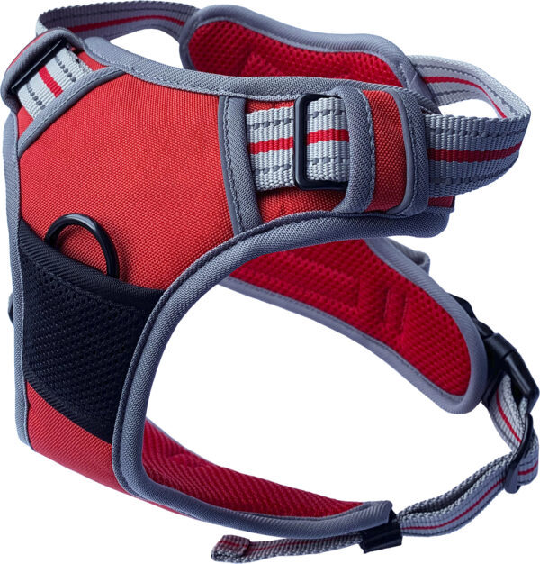 Red Hem & Boo Sports Adjustable Dog Harness | The Lancashire Dog Company