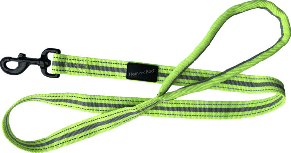 Lime Green Dog & Co Sports Dog Lead