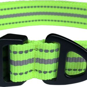 Lime Green Hem and Boo Sports Adjustable Dog Collar