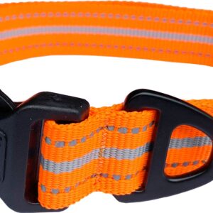 Orange Hem and Boo Sports Adjustable Dog Collar