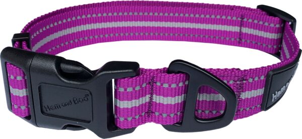 Hem and Boo Sports Dog Collar Purple