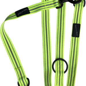 Lime Green Dog & Co Sports Training Lead