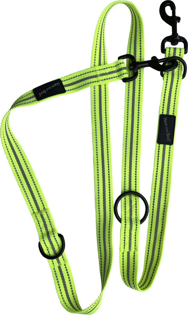Lime Green Dog & Co Sports Training Lead
