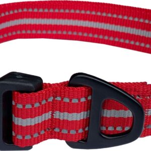 Hem and Boo Red Sports Dog Collar at The Lancashire Dog Company