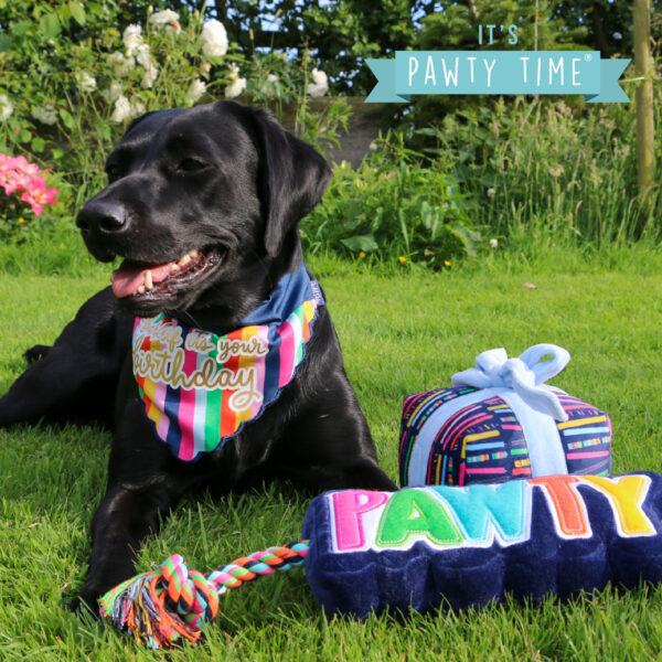 Ancol Pawty Present Birthday Dog Toy