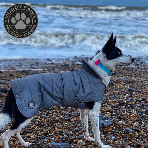 Ancol Ultimate Reflective Waterproof Dog Coat