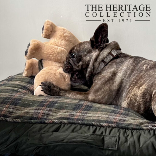 Ancol Heritage Tartan Bear Plush Dog Toy