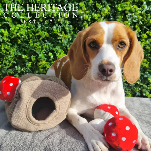 Ancol Mushroom Tree Hide and Seek Interactive Dog Toy