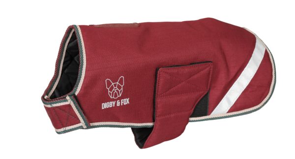 Burgundy Digby & Fox Waterproof Dog Coat