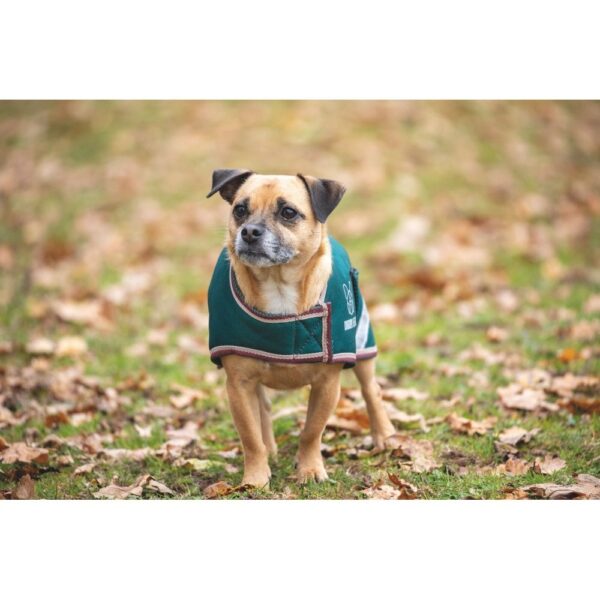 Forest Green Digby & Fox Waterproof Dog Coat