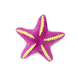Ancol Made From Recycled Starfish Dog Toy