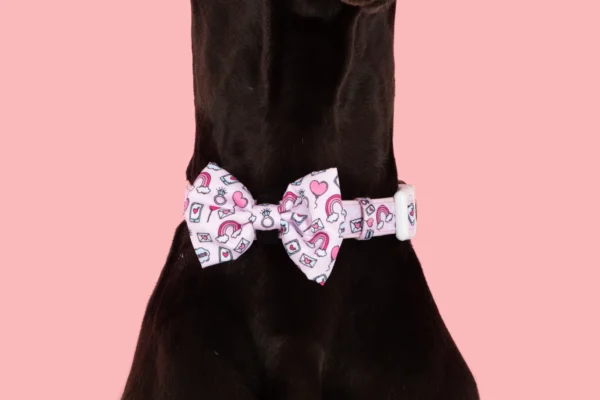 Big & Little Dogs Be Mine Valentines Print Adjustable Dog Collar