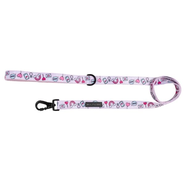 Big & Little Dogs 'Be Mine' Valentines Dog Lead