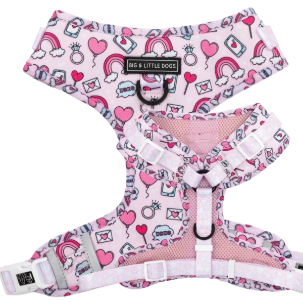 Big & Little Dogs ‘Be Mine’ Valentine's Adjustable Dog Harness