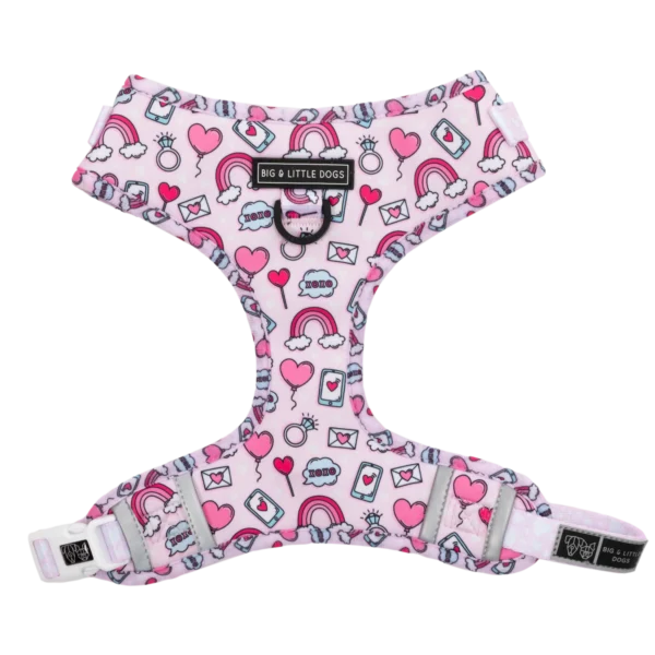 Big & Little Dogs ‘Be Mine’ Valentine's Adjustable Dog Harness