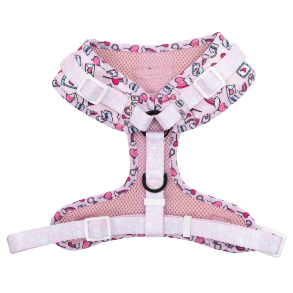 Big & Little Dogs ‘Be Mine’ Valentine's Adjustable Dog Harness