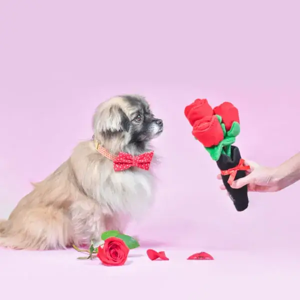 ZippyPaws Bouquet of Roses Squeaky Valentines Dog Toy