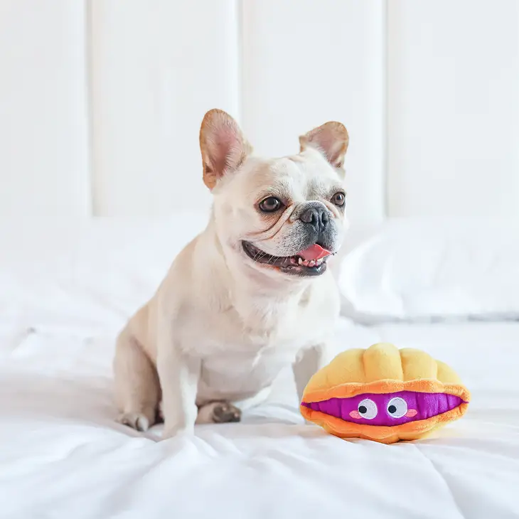 HugSmart Ocean Pals Clam Dog Toy