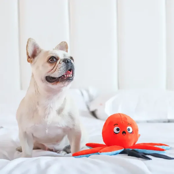 HugSmart Ocean Buddy Octopus Interactive Dog Toy