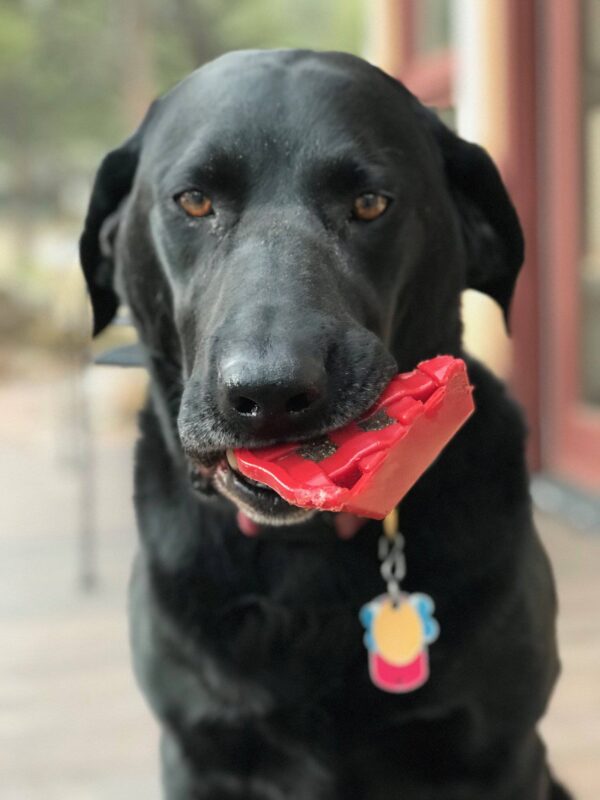 SodaPup Cherry Pie Durable Nylon Dog Chew Toy