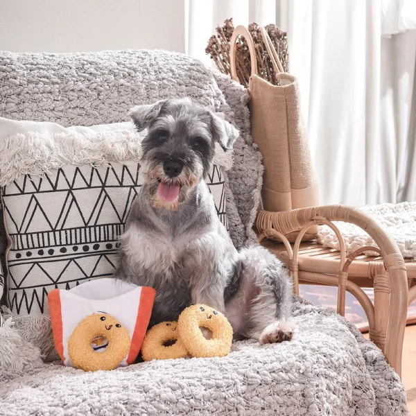 HugSmart Onion Ring Hide & Seek Interactive Dog Toy