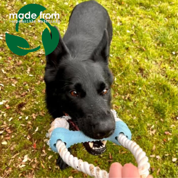Ancol 'Made From' Rice Bone Eco Friendly Dog Toy