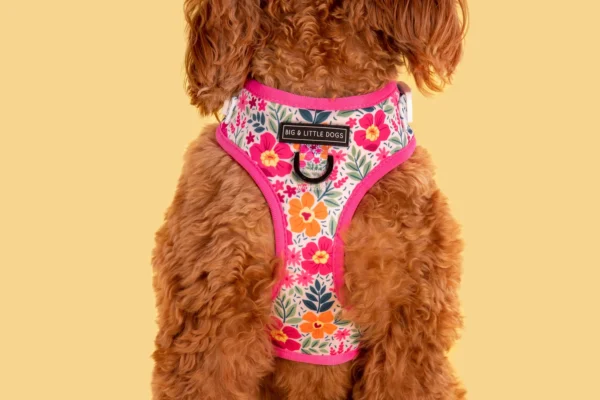 Big & Little Dogs ‘Sweet Blossoms’ Valentine's Adjustable Dog Harness
