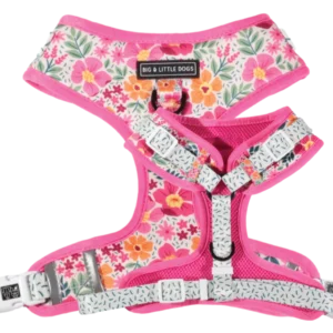 Big & Little Dogs ‘Sweet Blossoms’ Valentine's Adjustable Dog Harness