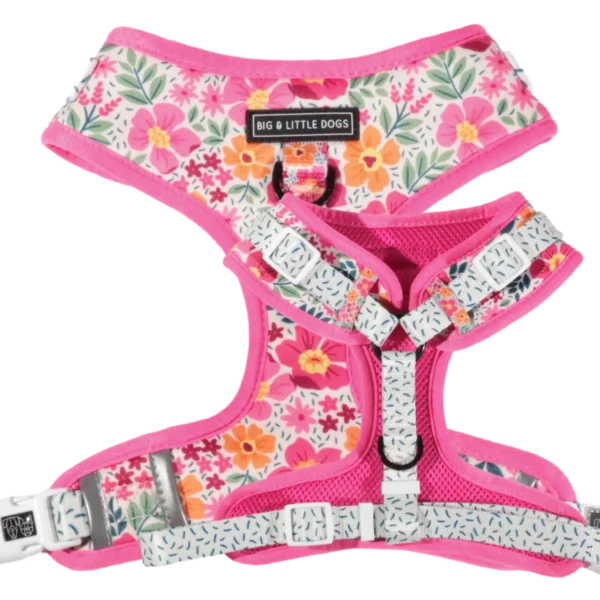 Big & Little Dogs ‘Sweet Blossoms’ Valentine's Adjustable Dog Harness