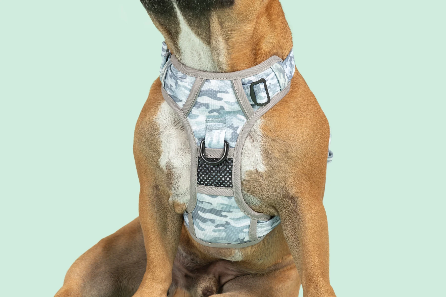 Camo dog harness and leash shop