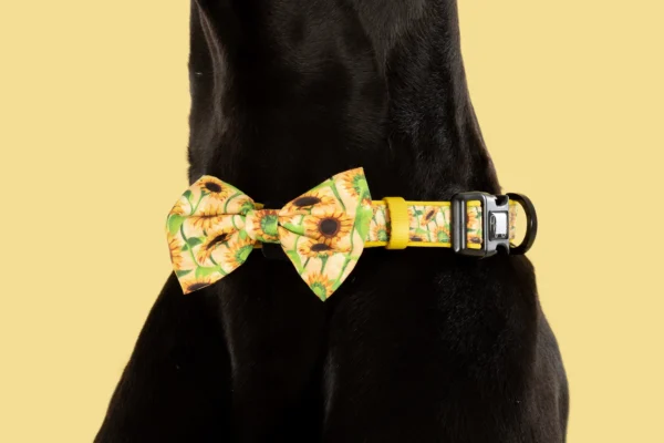 Big & Little Dogs Sunny Vibes Sunflower Print Adjustable Dog Collar