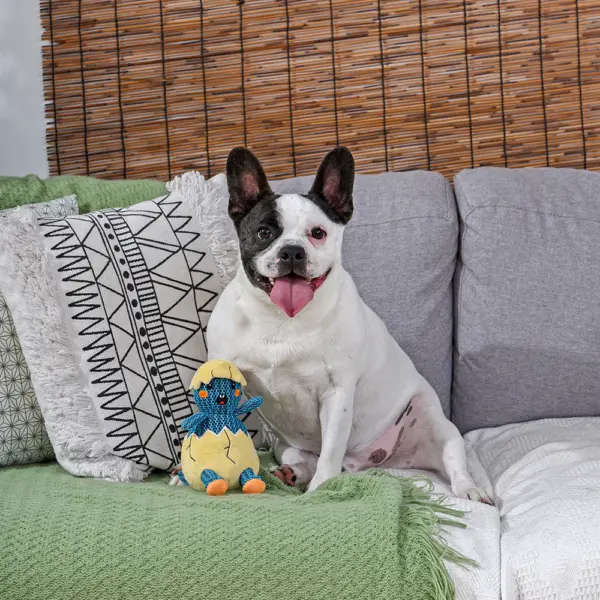 HugSmart Dinosaur Land Dino Egg Puppy Dog Toy by The Lancashire Dog Company