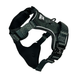 Petrichor Adjustable Dog Harness by Twiggy Tags - available at The Lancashire Dog Company