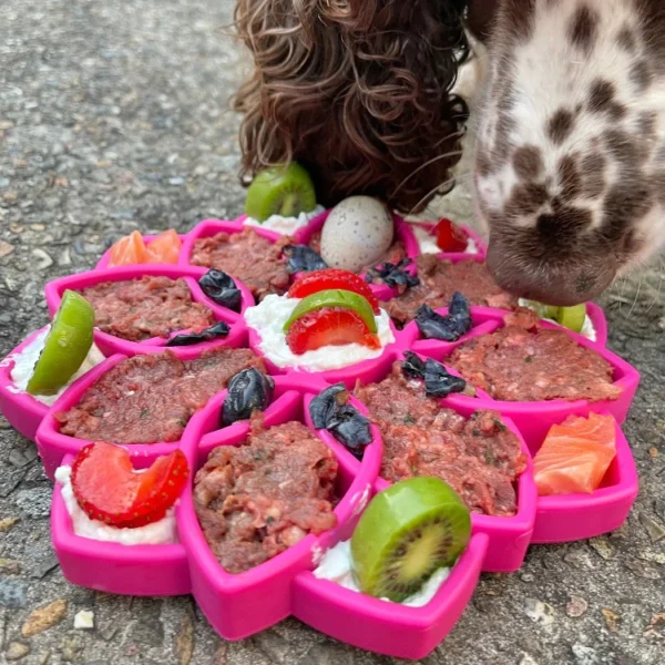 SodaPup Mandala Design Slow Feeder Enrichment Tray