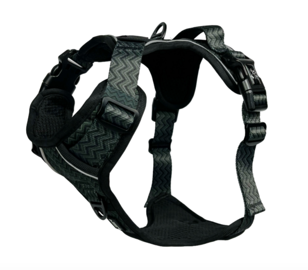 Petrichor Adjustable Dog Harness by Twiggy Tags - available at The Lancashire Dog Company