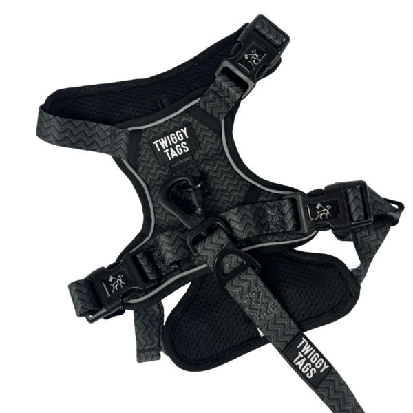 Petrichor Adjustable Dog Harness by Twiggy Tags - available at The Lancashire Dog Company