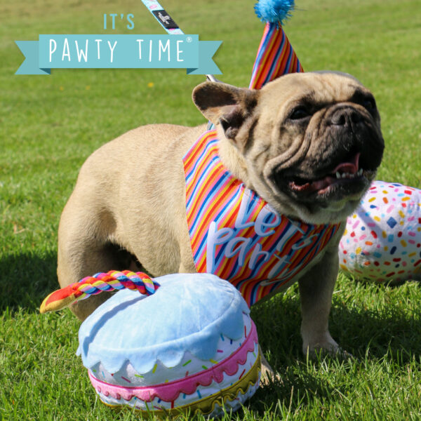 Ancol Pawty Sprinkle Cake Birthday Dog Toy at The Lancashire Dog Company