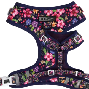 Big & Little Dogs ‘Petal Paradise’ Adjustable Dog Harness at The Lancashire Dog Company