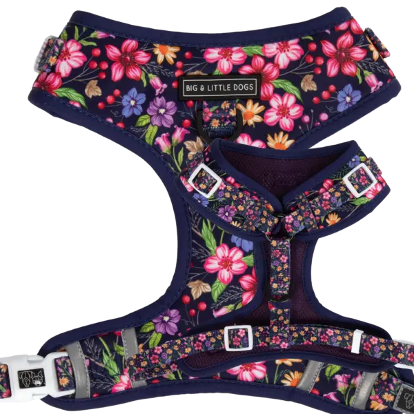 Big & Little Dogs ‘Petal Paradise’ Adjustable Dog Harness at The Lancashire Dog Company