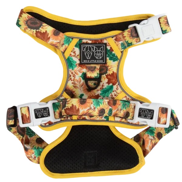 Big & Little Dogs Winter Blooms All-Rounder Dog Harness at The Lancashire Dog Company