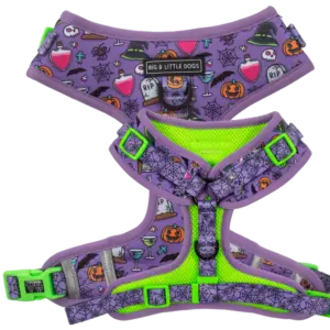 Big & Little Dogs ‘Haunted Hound’ Adjustable Dog Harness at The Lancashire Dog Company