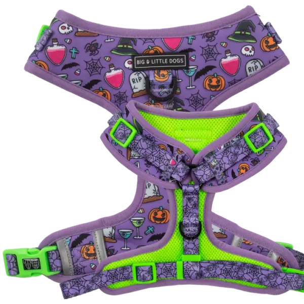 Big & Little Dogs ‘Haunted Hound’ Adjustable Dog Harness at The Lancashire Dog Company