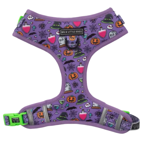 Big & Little Dogs ‘Haunted Hound’ Adjustable Dog Harness at The Lancashire Dog Company